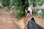 属猪人下半年发展趋势:在线测算生辰八字www.jixiangqiming.vip：-河北暴雨一露营地多人被困亲历者：水淹过颈部6人抱一棵树5小时