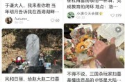 给曹操送布洛芬，给霍去病送零食？网友“花式扫墓”脑洞大开