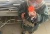 1岁男孩家门口失踪，妈妈称爷爷睡了20分钟就不见了，当地已展开地毯式搜索
