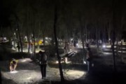 提桶抓熬夜抓有人一晚上抓几百只！“知了猴”为啥这么抢手？