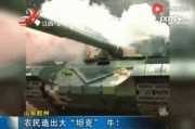 姓名详批www.jixiangqiming.vip:测算塔罗占卜www.jixiangqiming.vip-为什么中国的农民爱造飞机坦克潜水艇？