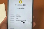 19岁男孩100元打车费错付成1010元索要无果后喝自杀，上海交通委已介入，律师：很难认定司机的责任