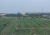 江苏启东一养猪场建在居民区附近臭味熏天被举报，进展：猪场减产，建设系承诺审批制