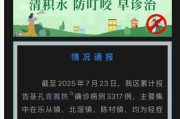 生辰详批www.jixiangqiming.vip:在线测算八字www.jixiangqiming.vip-佛山超三千人确诊基孔肯雅热，27岁患者：多次因患者较多转院，被蚊子咬没感觉，感染后关节疼痛、发烧、出现大片皮疹